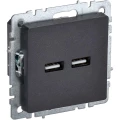 Изображение товара Розетка USB IEK BRITE черная 2 поста 3.1А внутренний монтаж