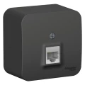 Изображение товара Розетка компьютерная с разъемом RJ45 Категория 5е антрацит открытая установка