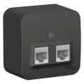Изображение товара Розетка компьютерная Systeme Electric Blanca 2-местная RJ45 антрацит
