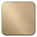 Изображение товара Переключатель одноклавишный Systeme Electric Blanca 10А 250В проходной открытой установки, IP20 схема 6 с изолированной пластиной, цвет - титан