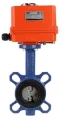 Изображение товара Дисковый поворотный затвор Tecofi VPI4449 Ду65 Ру16 с электроприводом