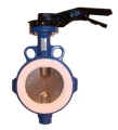Изображение товара Затвор дисковый поворотный Tecofi VP 4449-02PTFE Ду100 Ру16 межфланцевый