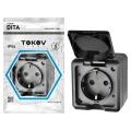 Изображение товара Розетка TOKOV ELECTRIC Dita открытой установки с заземлением и крышкой