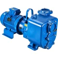Изображение товара Насос дренажный Varisco JE 2-180 G10 NT20 поверхностный, корпус - чугун, мощность - 5.5кВт, напор - 38м, производительность - 833л/мин, 220/380В