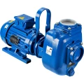 Изображение товара Насос дренажный Varisco JE 4-250 G11 FT40 поверхностный, корпус - чугун, мощность - 7.5кВт, напор - 20м, производительность - 2667л/мин, 220/380В