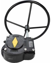 Редуктор четвертьоборотный DN.ru HARC RQN1-1620Z-T38 корпус - высокопрочный чугун EN-GJS-450-10/ВЧ45