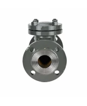 Клапан обратный 19с53нж DN.ru Ду125 Ру40 фланцевый, поворотный, корпус - низкоуглеродистая сталь, затвор - низкоуглеродистая сталь (VCT2121-F)