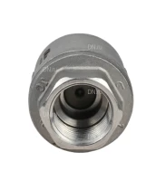 Клапан обратный DN.ru VCS3232P-T 1/2″ Ду15 Ру16 резьбовой, пружинный, корпус - нержавеющая сталь 316, диск - нержавеющая сталь 316, уплотнение - PTFE