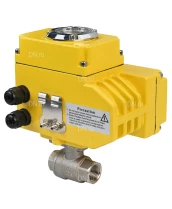 Кран шаровой DN.ru BV3232P(2pc)-FP-T-ISO-H Ду20 Ру63 полнопроходной двухходовой, нержавеющая сталь 316, внутренняя резьба, уплотнение - PTFE, с электроприводом четвертьоборотным QT-N-003EM-O1-24VDC-У1