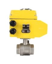 Кран шаровой DN.ru BV3232P(2pc)-FP-T-ISO-H Ду32 Ру63 полнопроходной двухходовой, нержавеющая сталь 316, внутренняя резьба, уплотнение - PTFE, с электроприводом четвертьоборотным QT-N-005EM-O1-24VDC-У1