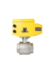 Кран шаровой DN.ru BV3232P(2pc)-FP-T-ISO-H Ду100 Ру40 полнопроходной двухходовой, нержавеющая сталь 316, внутренняя резьба, уплотнение - PTFE, с электроприводом четвертьоборотным QT-N-020EM-O1-24VDC-У1