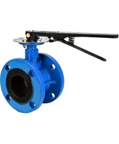 Затвор дисковый поворотный DN.ru WBV1313E-2W-F-H Ду50 Ру16 фланцевый, корпус - чугун GGG40, диск - чугун GGG40, уплотнение - EPDM, с рукояткой, с ISO-фланцем F05, квадрат штока 9х9