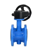 Затвор дисковый поворотный DN.ru WBV1313E-2W-F-H Ду100 Ру16 фланцевый, корпус - чугун GGG40, диск - чугун GGG40, уплотнение - EPDM, с редуктором DN.ru HAM RQN1-180Z-T40