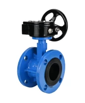 Затвор дисковый поворотный DN.ru WBV1313E-2W-F-H Ду100 Ру16 фланцевый, корпус - чугун GGG40, диск - чугун GGG40, уплотнение - EPDM, с редуктором DN.ru RDN RQN3-150Z-T24