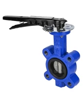 Затвор дисковый поворотный DN.ru WBV1631E-2W-Fb-H Ду50 Ру16 LUG межфланцевый, корпус - чугун QT450, диск - нержавеющая сталь 304, уплотнение - EPDM, с рукояткой