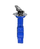 Затвор дисковый поворотный DN.ru WBV1631N-2W-Fb-H Ду65 Ру16 LUG межфланцевый, корпус - чугун QT450, диск - нержавеющая сталь 304, уплотнение - NBR, с рукояткой
