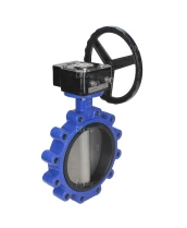 Затвор дисковый поворотный DN.ru WBV1631N-2W-Fb-R Ду250 Ру16 LUG межфланцевый, корпус - чугун QT450, диск - нержавеющая сталь 304, уплотнение - NBR, с редуктором