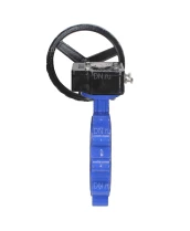 Затвор дисковый поворотный DN.ru WBV1631N-2W-Fb-R Ду250 Ру16 LUG межфланцевый, корпус - чугун QT450, диск - нержавеющая сталь 304, уплотнение - NBR, с редуктором
