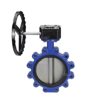 Затвор дисковый поворотный DN.ru WBV1631N-2W-Fb-R Ду250 Ру16 LUG межфланцевый, корпус - чугун QT450, диск - нержавеющая сталь 304, уплотнение - NBR, с редуктором