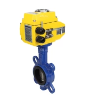 Затвор дисковый поворотный DN.ru WBV1432E-2W-Fb-H Ду300 Ру16, корпус - чугун GGG50, диск - нержавеющая сталь 316L, уплотнение - EPDM, с электроприводом DN.ru QT-N-060EM-O1-220VAC-У1 220В