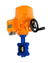 Затвор дисковый поворотный DN.ru WBV1616N-2W-Fb-H Ду100 Ру16 LUG межфланцевый, корпус - чугун QT450, диск - чугун QT450, уплотнение - NBR, с электроприводом DN.ru QT-EX-010EM-O2-220VAC-У1 220В