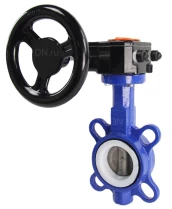 Затвор дисковый поворотный DN.ru WCB-316L-PTFE Ду40 Ру16 межфланцевый, корпус - углеродистая сталь WCB, диск - нержавеющая сталь 316L, уплотнение - PTFE, с редуктором Pro-Gear X-21-W-200