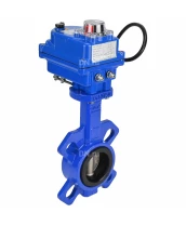 Затвор дисковый поворотный DN.ru WBV1432E-2W-Fb-H Ду50 Ру16, корпус - чугун GGG50, диск - нержавеющая сталь 316L, уплотнение - EPDM, с электроприводом DN.ru QT-N-003EM-O1-220VAC-У1 blue 220В