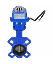 Затвор дисковый поворотный DN.ru WBV1432E-2W-Fb-H Ду50 Ру16, корпус - чугун GGG50, диск - нержавеющая сталь 316L, уплотнение - EPDM, с электроприводом DN.ru QT-N-003EM-O1-220VAC-У1 blue 220В