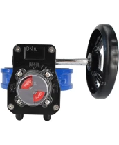 Затвор дисковый поворотный DN.ru WBV1132N-2W-Fb-H Ду40 Ру16 межфланцевый, корпус - чугун GG25, диск - нержавеющая сталь 316L, уплотнение - NBR, с редуктором HGB RQN1-180Z с индикатором положения