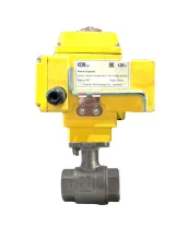 Кран шаровой DN.ru BV3232P(2pc)-FP-T-ISO-H Ду32 Ру63 полнопроходной, внутренняя резьба, нержавеющая сталь 316, уплотнение - PTFE, с электроприводом четвертьоборотным DN.ru QT-N-005EM-B1-220VAC-У1-DAR gander