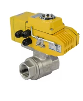 Кран шаровой DN.ru BV3232P(2pc)-FP-T-ISO-H Ду40 Ру63 полнопроходной, внутренняя резьба, нержавеющая сталь 316, уплотнение - PTFE, с электроприводом четвертьоборотным DN.ru QT-N-005EM-A1-220VAC-У1 DAR