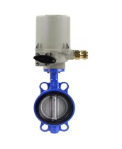 Затвор дисковый поворотный DN.ru WBV1616N-2W-Fb-H Ду50 Ру16 LUG корпус - чугун QT450, диск - чугун QT450, уплотнение - NBR, межфланцевый, с электроприводом ГЗ-ОФВ-45/11К 220В