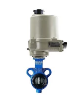 Затвор дисковый поворотный DN.ru AL-316L-EPDM Ду25 Ру16 корпус - алюминиевый сплав, диск - нержавеющая сталь 316L, уплотнение - EPDM, с электроприводом ГЗ-ОФ-45/11К 220В
