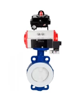 Затвор дисковый поворотный DN.ru WBV3434Pf-2W-Fb-R Ду250 Ру16 корпус - углеродистая сталь WCB, диск - углеродистая сталь WCB, футерованный PTFE, уплотнение - PTFE, с DN.ru PA-SA-160, 4M310-08 220В и APL-410N EX