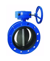 Затвор дисковый поворотный DN.ru WBV1331E-2W-F-R Ду250 Ру16 фланцевый, корпус - чугун GGG40, диск - нержавеющая сталь 304, уплотнение - EPDM, управление – редуктор, с ISO-фланцем F10, квадрат штока 22х22