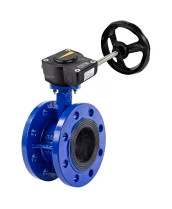 Затвор дисковый поворотный DN.ru WBV1331E-2W-F-H Ду50 Ру16 фланцевый, корпус - чугун GGG40, диск - нержавеющая сталь 304, уплотнение - EPDM, с редуктором DN.ru HAM RQN1-180Z-T40