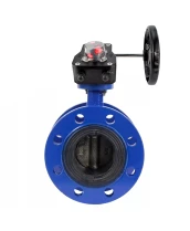 Затвор дисковый поворотный DN.ru WBV1331E-2W-F-H Ду50 Ру16 фланцевый, корпус - чугун GGG40, диск - нержавеющая сталь 304, уплотнение - EPDM, с редуктором DN.ru HGB RQN1-180Z