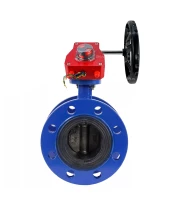 Затвор дисковый поворотный DN.ru WBV1331E-2W-F-H Ду50 Ру16 фланцевый, корпус - чугун GGG40, диск - нержавеющая сталь 304, уплотнение - EPDM, с редуктором DN.ru HGBF RQN1-180Z