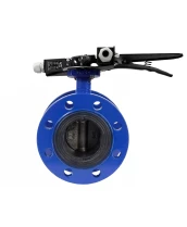 Затвор дисковый поворотный DN.ru WBV1331E-2W-F-H Ду50 Ру16 фланцевый, корпус - чугун GGG40, диск - нержавеющая сталь 304, уплотнение - EPDM, с рукояткой, двумя концевыми датчиками LS-103 250В и кронштейном для крепления концевых выключателей