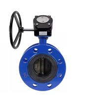 Затвор дисковый поворотный DN.ru WBV1331E-2W-F-H Ду50 Ру16 фланцевый, корпус - чугун GGG40, диск - нержавеющая сталь 304, уплотнение - EPDM, с редуктором DN.ru RDN RQN1-150Z-T24