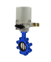 Затвор дисковый поворотный DN.ru WBV1631N-2W-Fb-H Ду50 Ру16 LUG корпус - чугун QT450, диск - нержавеющая сталь 304, уплотнение - NBR, межфланцевый, с электроприводом ГЗ-ОФВ-45/11К 220В