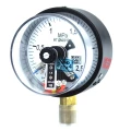 Манометр ФИЗТЕХ ДМ2010ф 0-2.5 МПа d.100 класс точности 1.5, резьбовое соединение М20х1.5, степень защиты корпуса IP40, электроконтактный, с сигнализирующим устройством тип V, радиальное присоединение