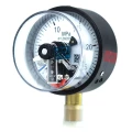 Манометр ФИЗТЕХ ДМ2010ф 0-25 МПа d.100 класс точности 1.5, резьбовое соединение М20х1.5, степень защиты корпуса IP40, электроконтактный, с сигнализирующим устройством тип V, радиальное присоединение
