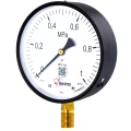 Манометр ФИЗТЕХ МП4-Уф 0-1 МПа IP40, общетехнический 160 мм, резьба G1/2, класс точности - 1.5, радиальный штуцер