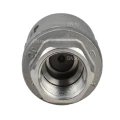 Клапан обратный DN.ru VCS3232P-T 1″ Ду25 Ру16 резьбовой, пружинный, корпус - нержавеющая сталь 316, диск - нержавеющая сталь 316, уплотнение - PTFE