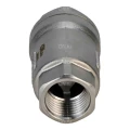Клапан обратный DN.ru VCS3232P-T 2″ Ду50 Ру63 резьбовой, пружинный, корпус - нержавеющая сталь 316, диск - нержавеющая сталь 316, уплотнение - PTFE
