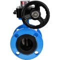 Затвор дисковый поворотный DN.ru WBV1313E-2W-F-H Ду100 Ру16 фланцевый, корпус - чугун GGG40, диск - чугун GGG40, уплотнение - EPDM, с редуктором DN.ru HGB RQN1-180Z