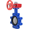 Затвор дисковый поворотный DN.ru WBV1631N-2W-Fb-H Ду125 Ру16 LUG межфланцевый, корпус - чугун QT450, диск - нержавеющая сталь AISI 304, уплотнение - NBR, с редуктором HGBF RQN1-180Z
