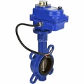 Затвор дисковый поворотный DN.ru WBV1432E-2W-Fb-H Ду40 Ру16, корпус - чугун GGG50, диск - нержавеющая сталь 316L, уплотнение - EPDM, с электроприводом DN.ru QT-N-003EM-O1-12VDC-У1 blue 12В