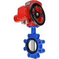 Затвор дисковый поворотный DN.ru WBV1616E-2W-Fb-H Ду50 Ру16 LUG межфланцевый, корпус - чугун QT450, диск - чугун QT450, уплотнение - EPDM, с электроприводом QT-EX-005M-O2-380VAC-У1 с моментной муфтой и штурвалом
